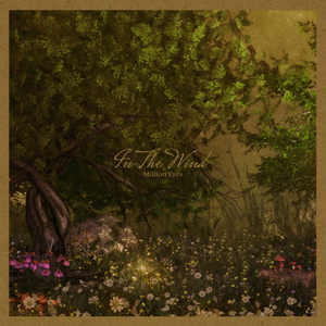 In the Wind by Million Eyes